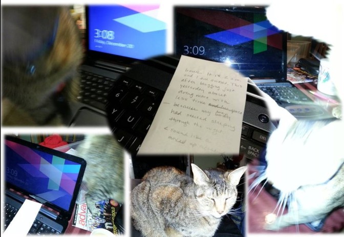 I thought I could simply shoot a photo of the receipt where I began writing at 2 a.m. with my laptop keyboard... my cat kept getting in the way; I took six shots of lousy and made a collage. Let's call it art.