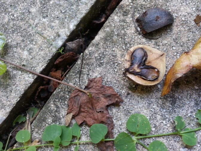 One small square of driveway that made me stop and wonder.