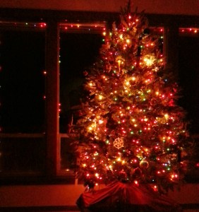 I'm a bit reluctant to "put away" Christmas tomorrow, but that is more a sign of how much I've enjoyed the season this year than my usual reluctance to deal with the work that is Christmas.