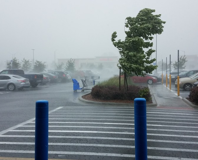 walmart in the wind