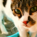 Dear Reader, Why in the World Do You Read My Blog Posts?