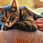 The Cat Analogy: Short, Sweet, and to the (Clawed) Point