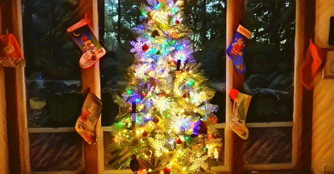 a lighted Christmas tree stands in front of a wall of windows, sharing light inside and outside the house